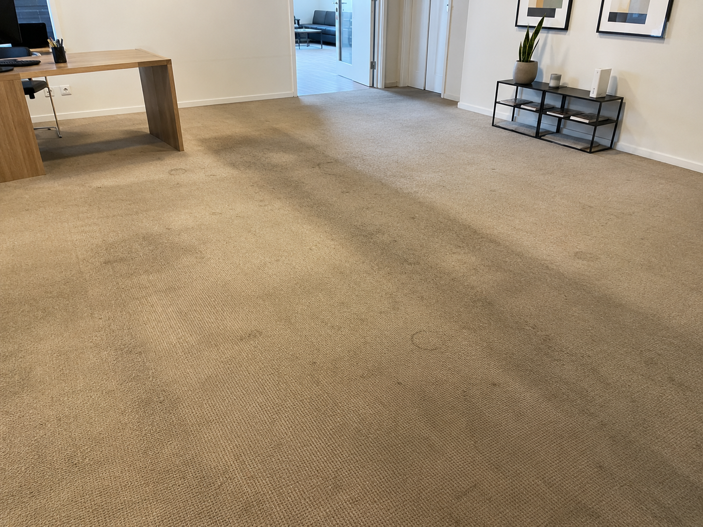 Avant nettoyage moquette